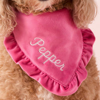 #Modeled by Brynn (25lbs) in Medium