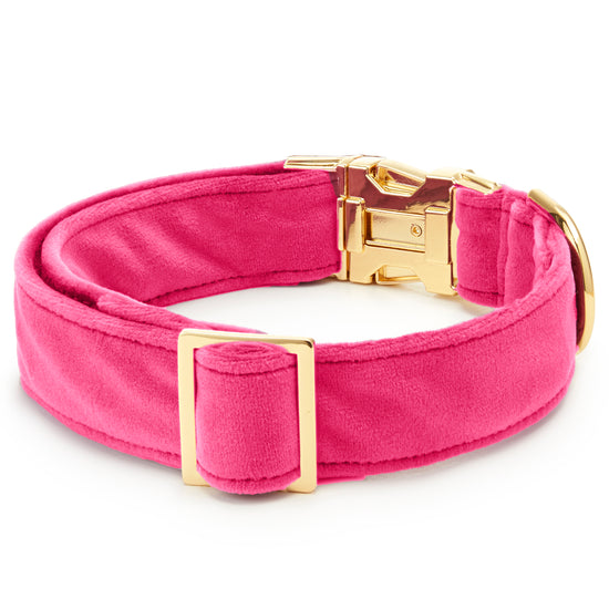 Hot Pink Velvet Dog Collar from The Foggy Dog