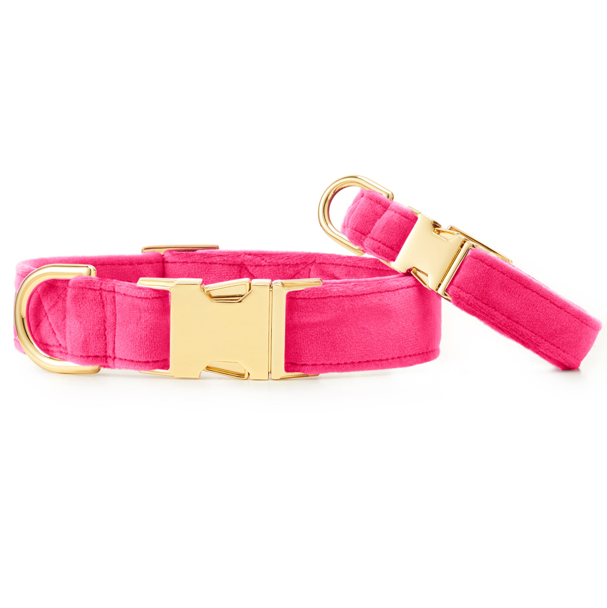 Hot Pink Velvet Dog Collar – The Foggy Dog