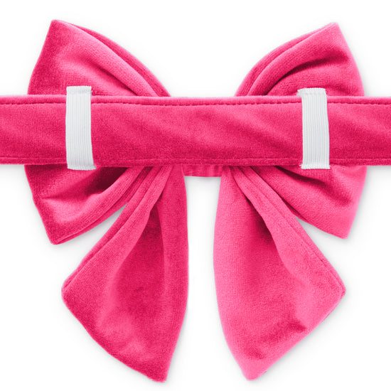 Hot Pink Velvet Lady Bow Collar