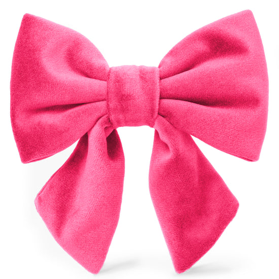 Hot Pink Velvet Lady Dog Bow from The Foggy Dog
