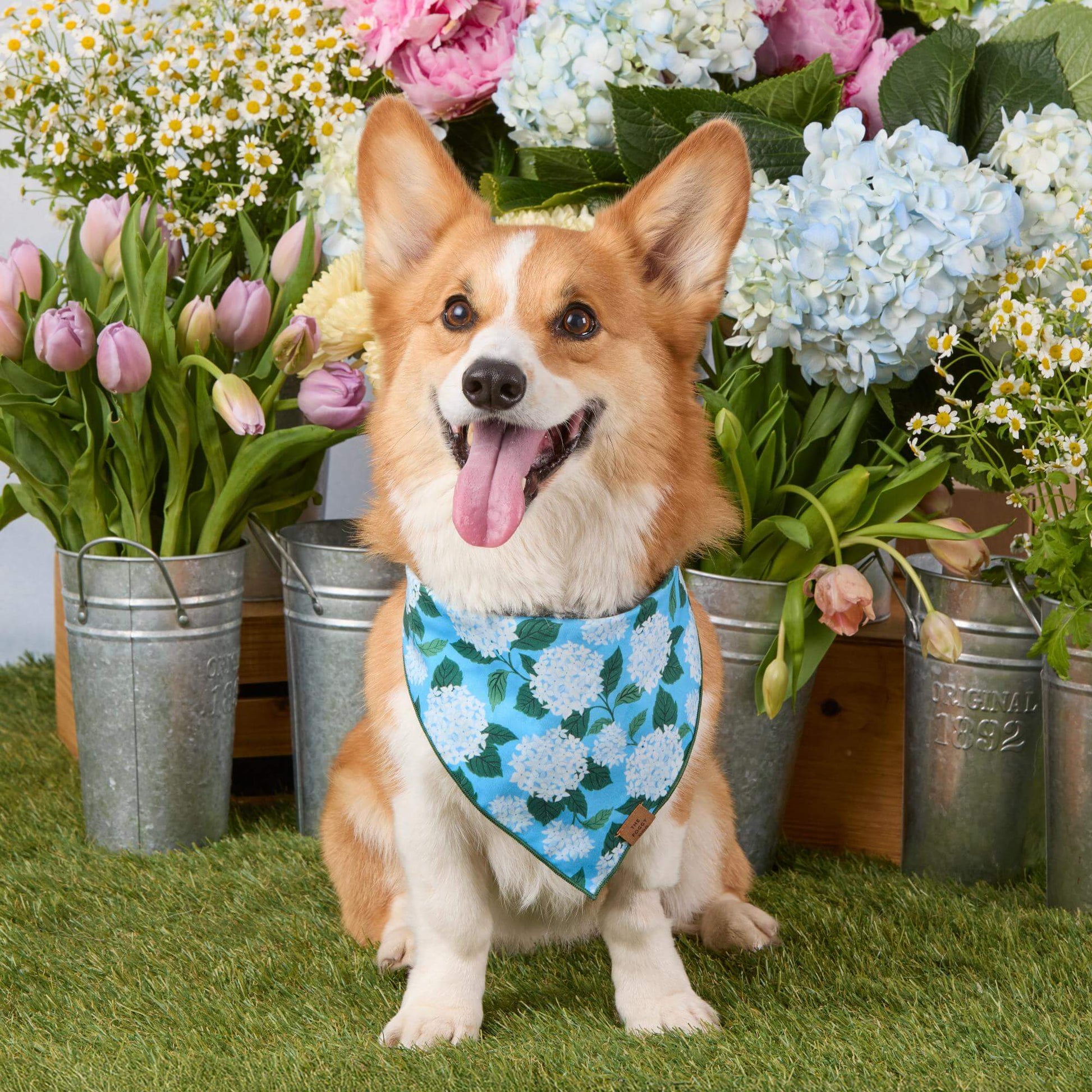 #Modeled by Tony (30lbs) in Medium