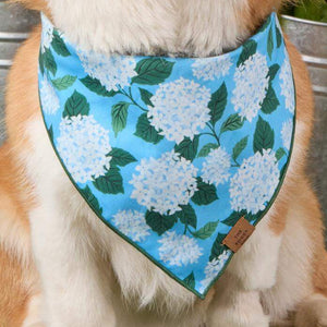 #Modeled by Tony (30lbs) in Medium