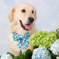 #Modeled by Genji (45lbs) in a Large lady bow