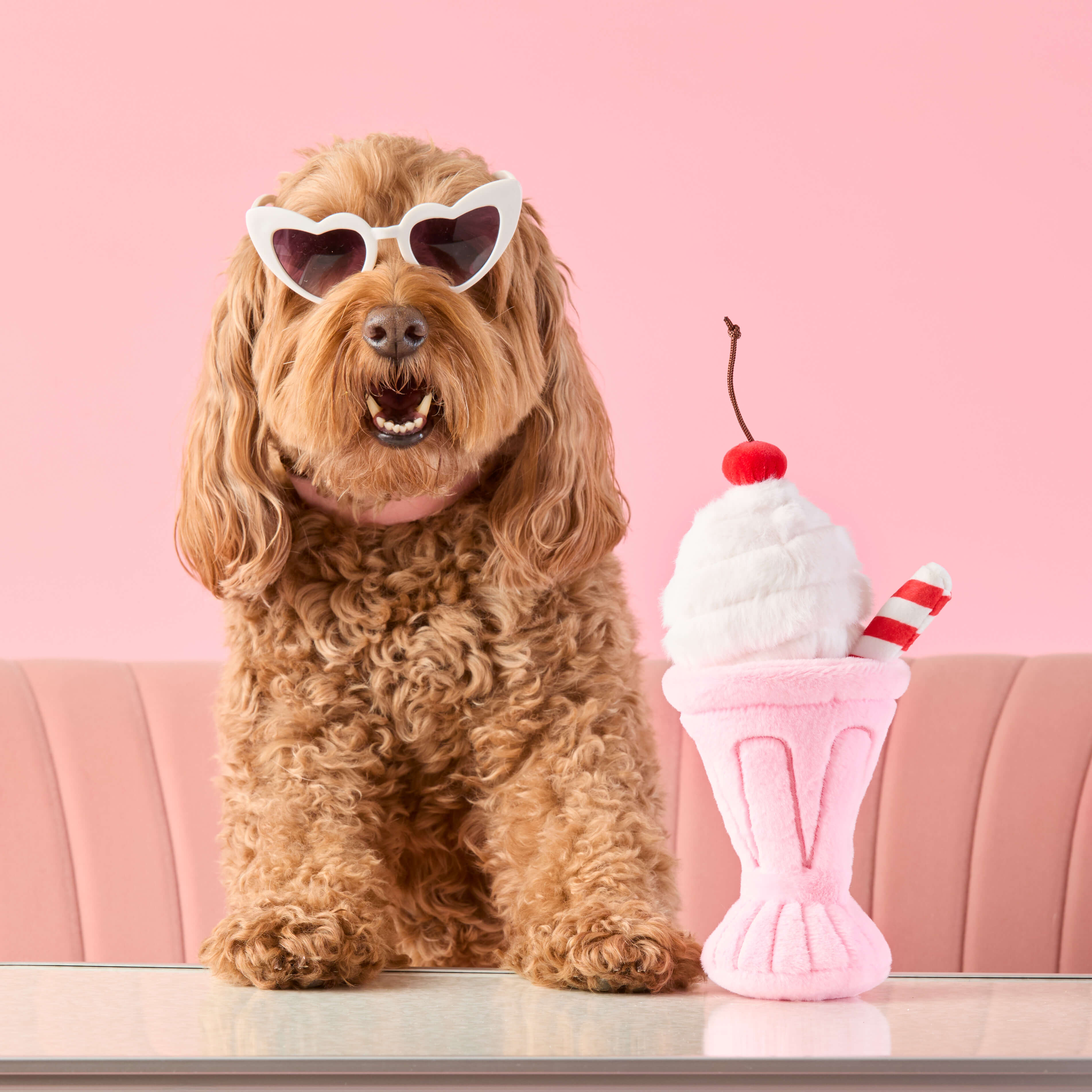 Burger and Shake Interactive Toy Set – The Foggy Dog