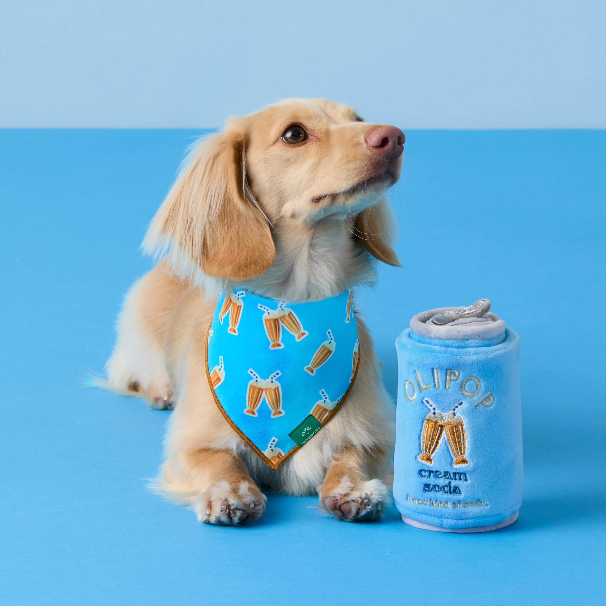 OLIPOP x TFD Cream Soda Dog Bandana – The Foggy Dog