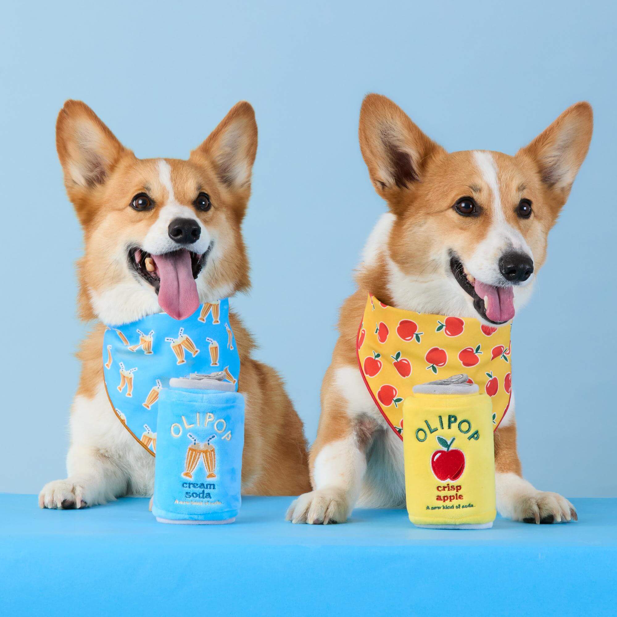 OLIPOP x TFD Cream Soda Dog Bandana – The Foggy Dog