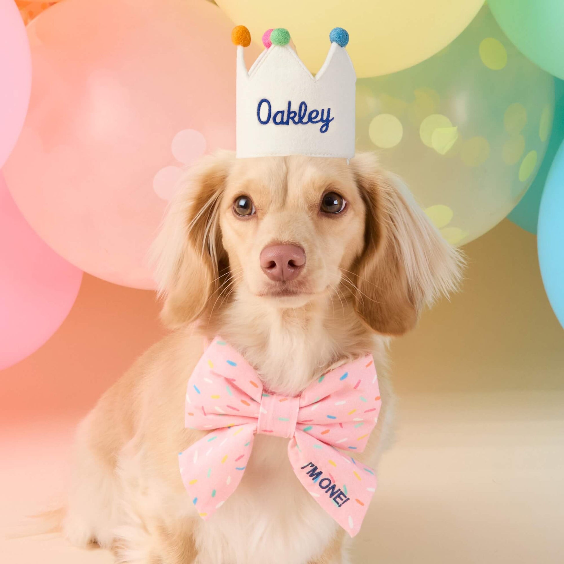 #Modeled by Finley (12lbs) in a Large lady bow