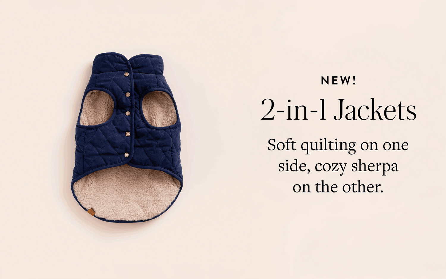 Reversible Dog Jacket from The Foggy Dog