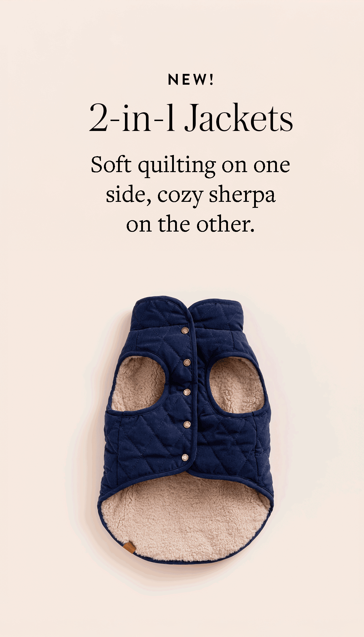 Reversible Dog Jacket from The Foggy Dog