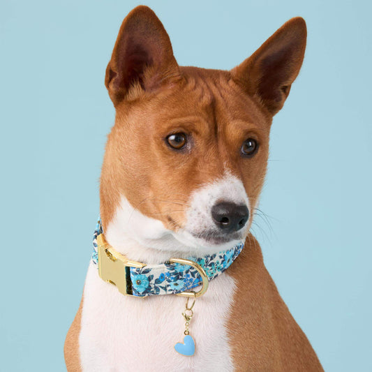 #Modeled by Ricky (27lbs) in Medium