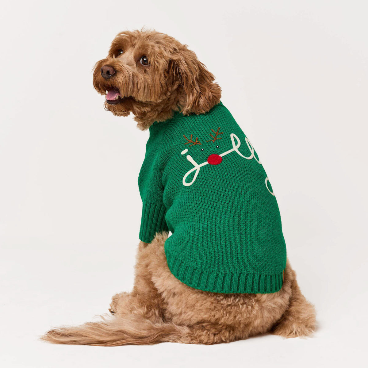 #Modeled by Poppy (20lbs) in Medium