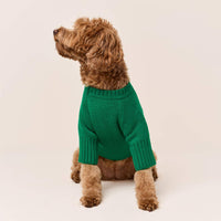 #Modeled by Poppy (20lbs) in Medium