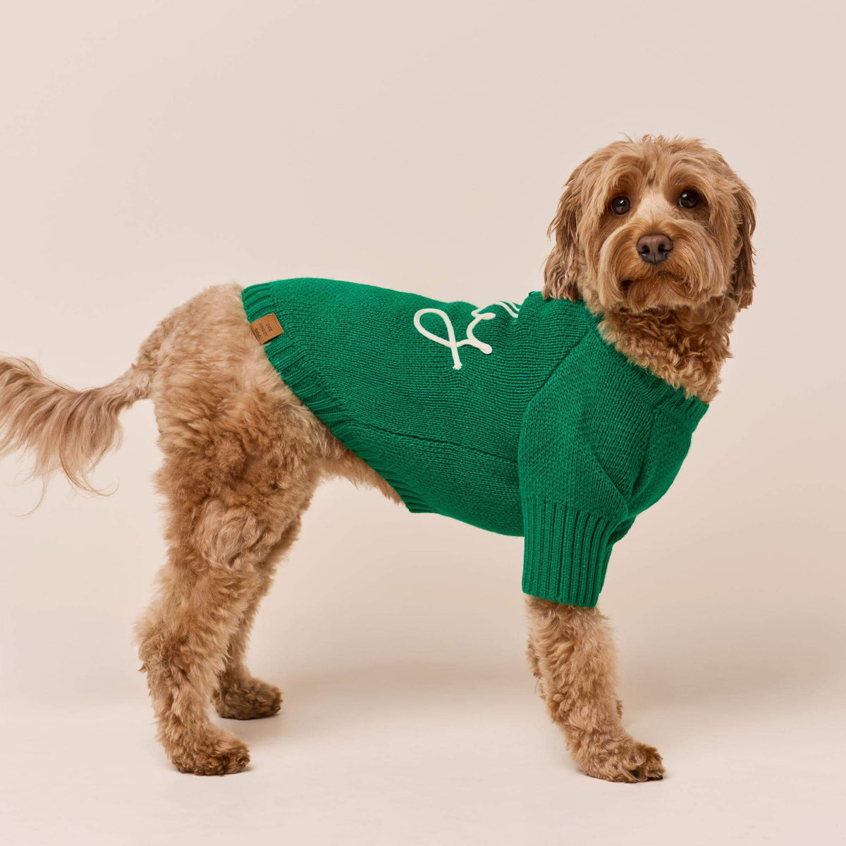 #Modeled by Poppy (20lbs) in Medium