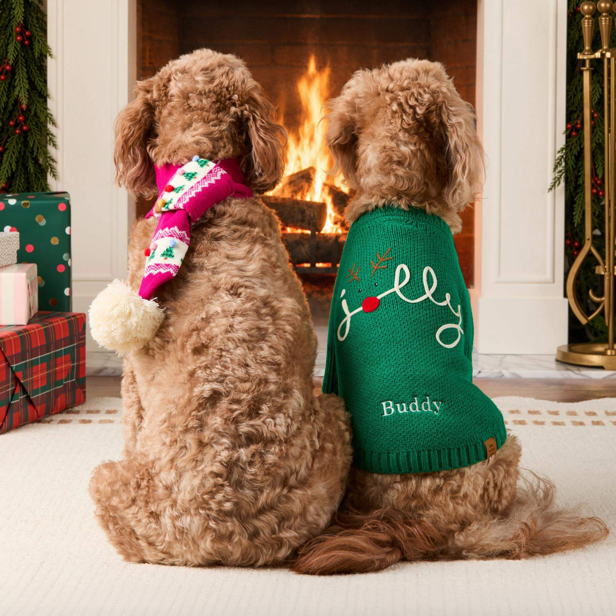 #Modeled by Brynn (26lbs) in a Medium scarf and Cyra (36lbs) in a Medium sweater