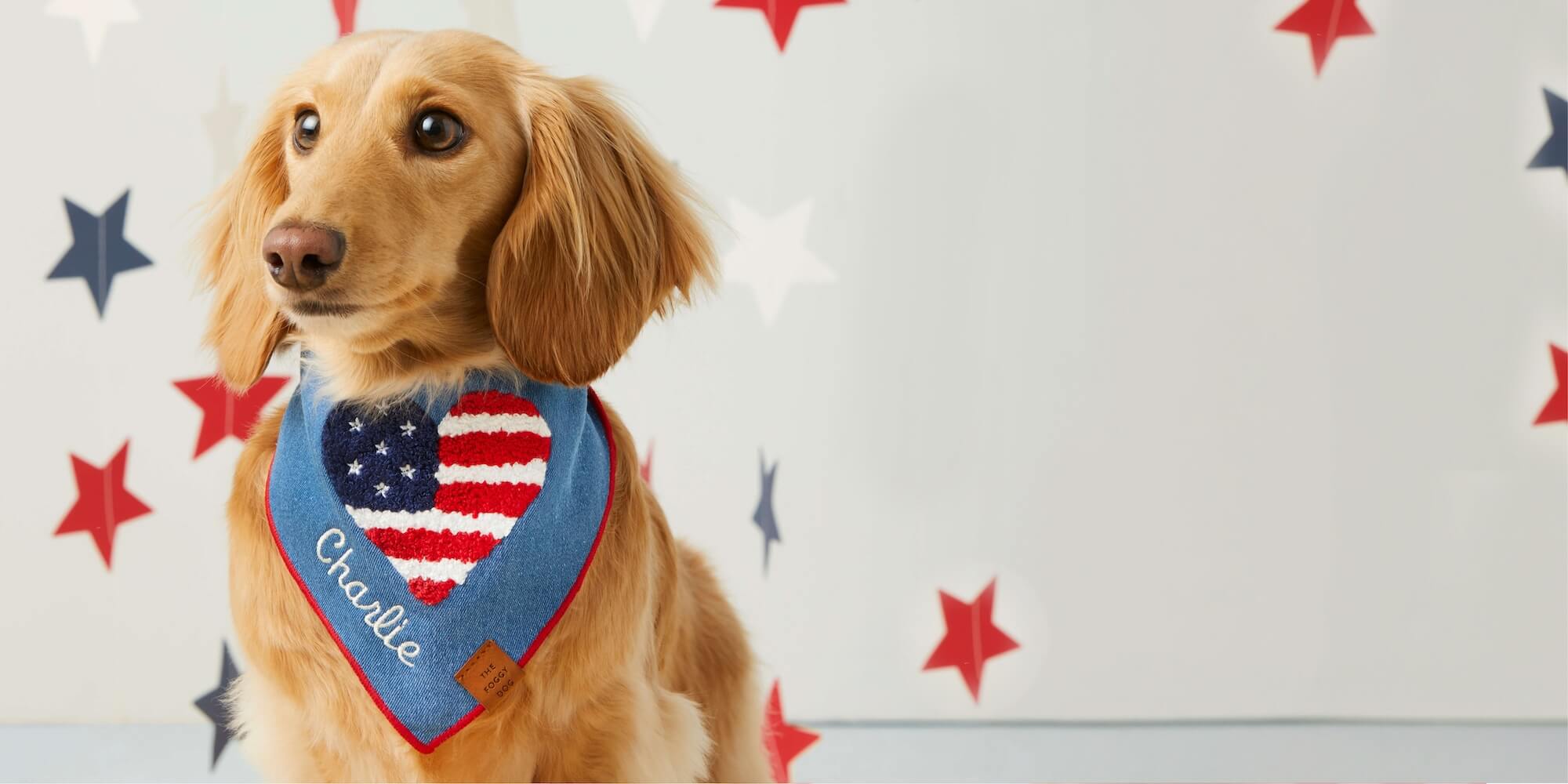 4th of July Collection at The Foggy Dog. Get festive with our most paw-triotic prints yet.