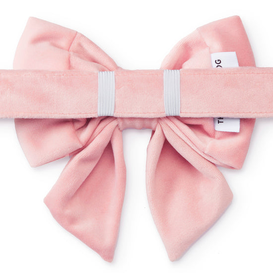 Blush Pink Velvet Lady Bow Collar from The Foggy Dog
