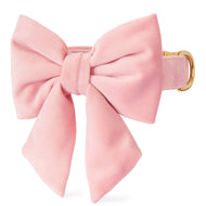 Blush Pink Velvet Lady Bow Collar