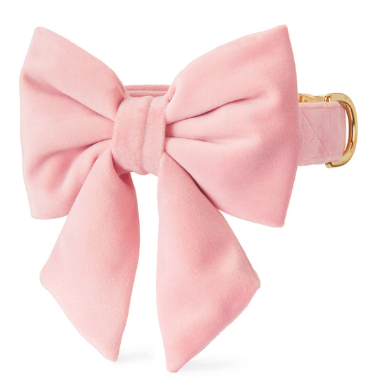 Blush Pink Velvet Lady Bow Collar from The Foggy Dog