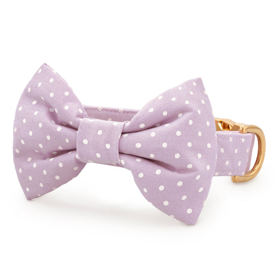 Lavender Dots Bow Tie Collar from The Foggy Dog