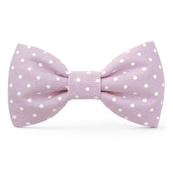 Lavender Dots Dog Bow Tie from The Foggy Dog