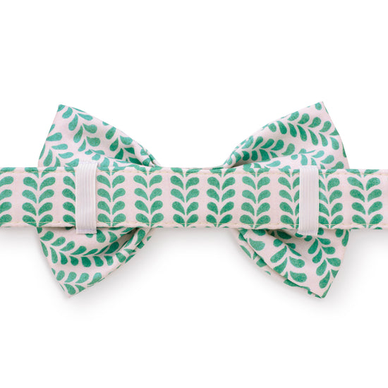 Leafy Stripe Bow Tie Collar