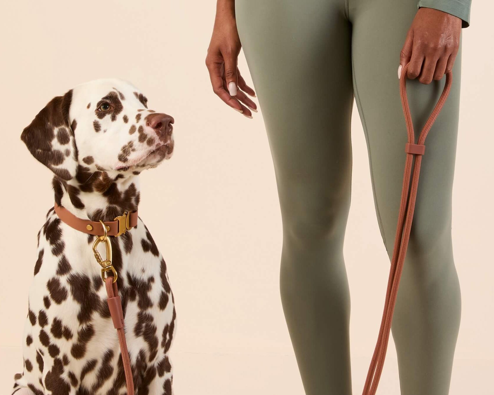 Active Hands-Free Dog Leash, Saddle from Active by The Foggy Dog