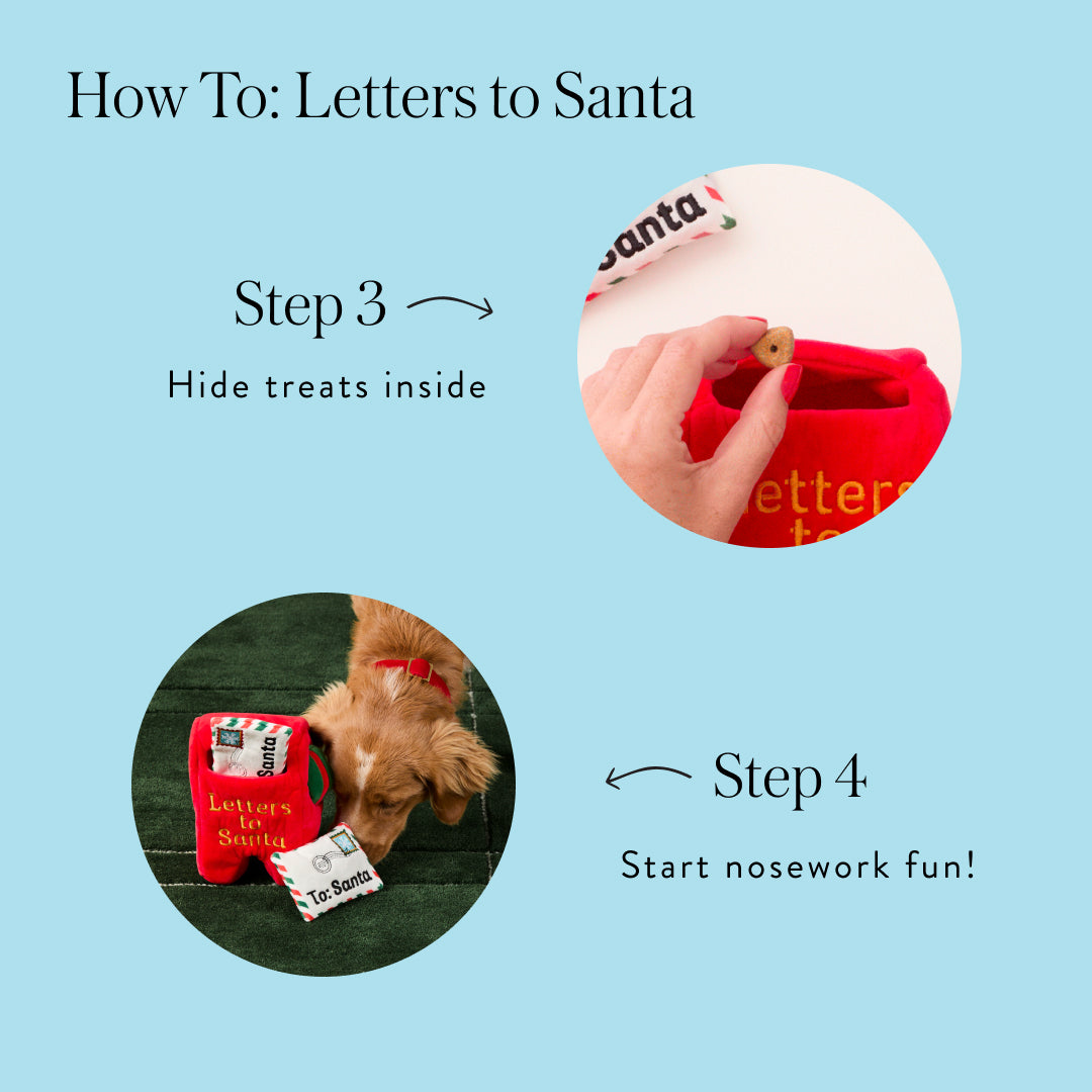 North Pole Interactive Toy Set view 19