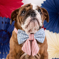 #Modeled by Pebbles (8lbs) in a Large lady bow