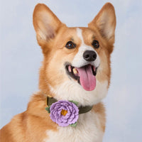 Lilac Peony Dog Collar Flower Set from The Foggy Dog