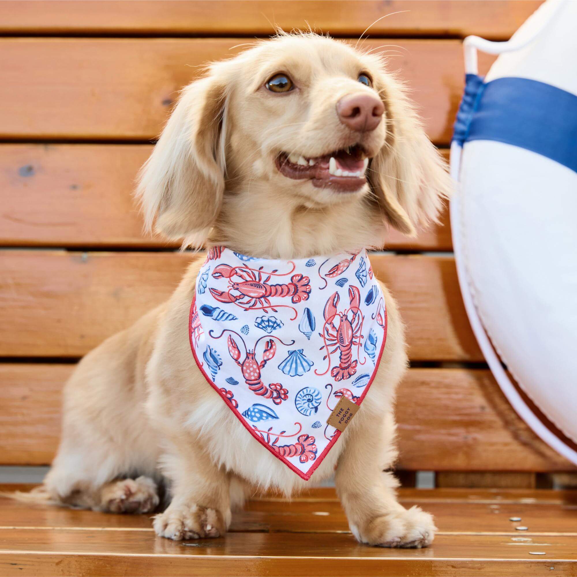 Printfresh x TFD Lobster Landing Dog Bandana – The Foggy Dog
