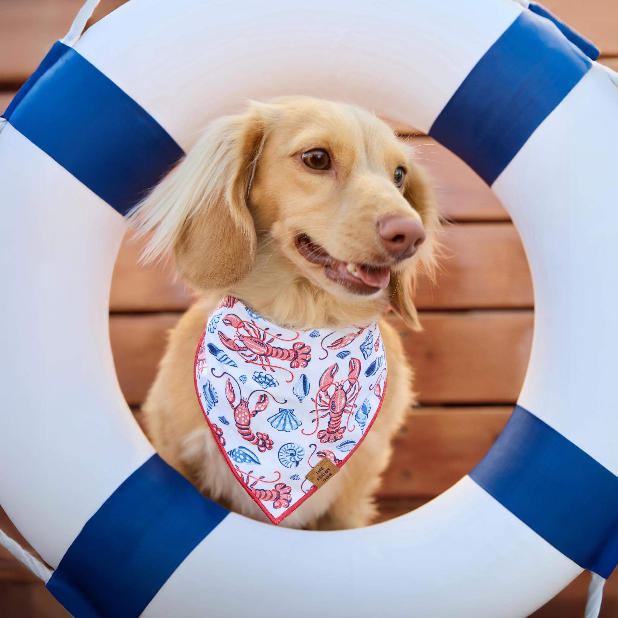 Printfresh x TFD Lobster Landing Dog Bandana – The Foggy Dog