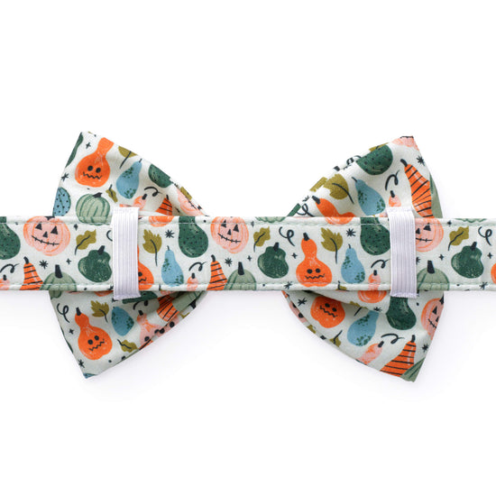 Looking Gourd Bow Tie Collar