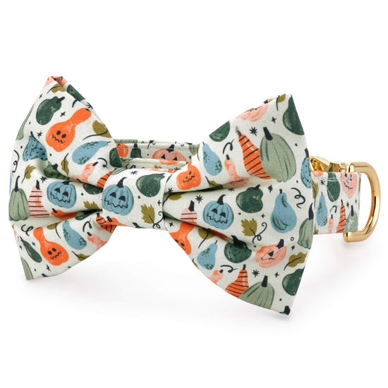 Looking Gourd Bow Tie Collar