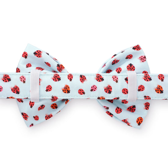 Love Bug Bow Tie Collar from The Foggy Dog