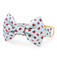 Love Bug Bow Tie Collar from The Foggy Dog