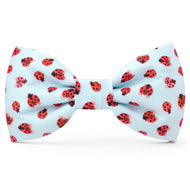 Love Bug Dog Bow Tie from The Foggy Dog