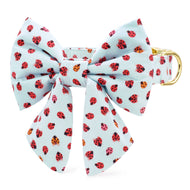 Love Bug Lady Bow Collar from The Foggy Dog