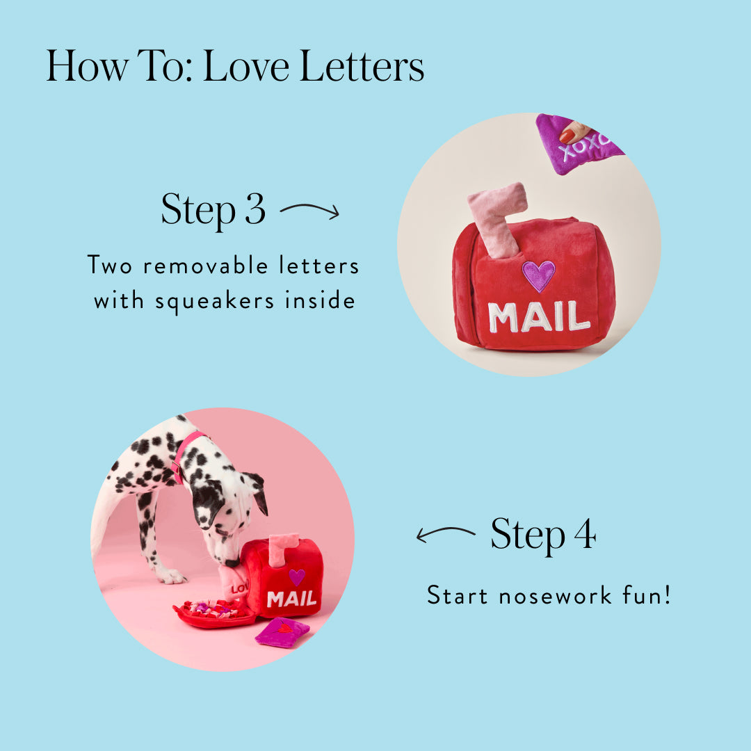Love Letters Interactive Snuffle Dog Toy from The Foggy Dog
