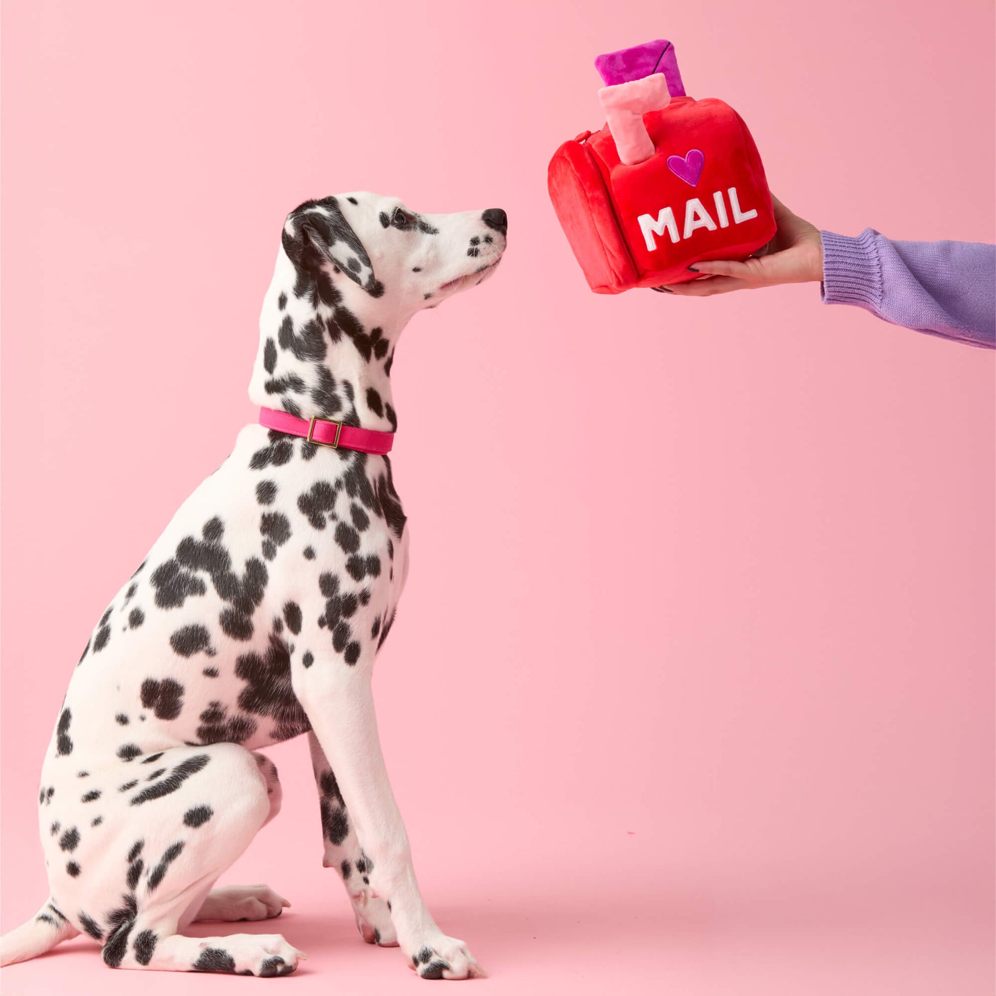 Love Letters Interactive Snuffle Dog Toy from The Foggy Dog