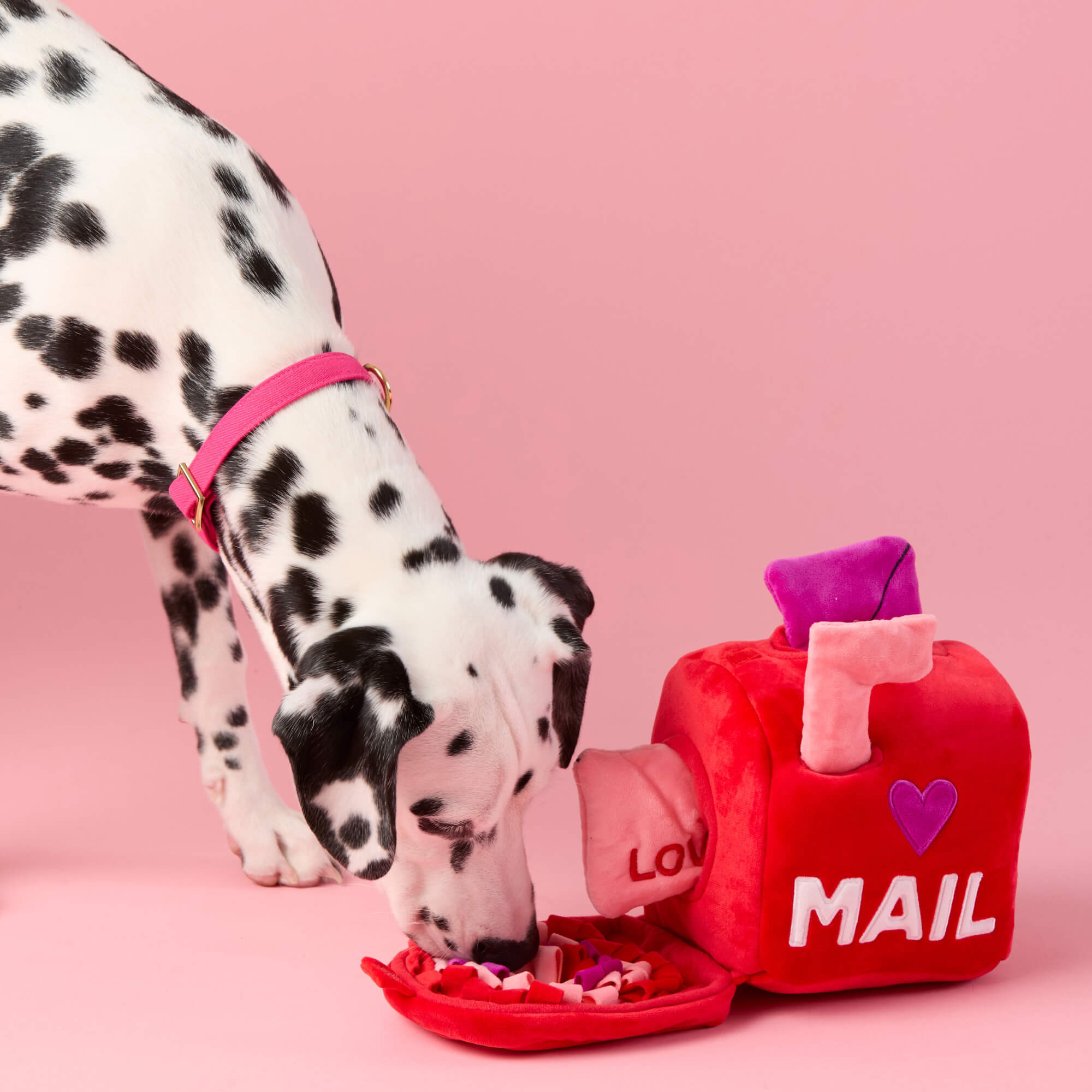 Love Letters Interactive Snuffle Dog Toy from The Foggy Dog