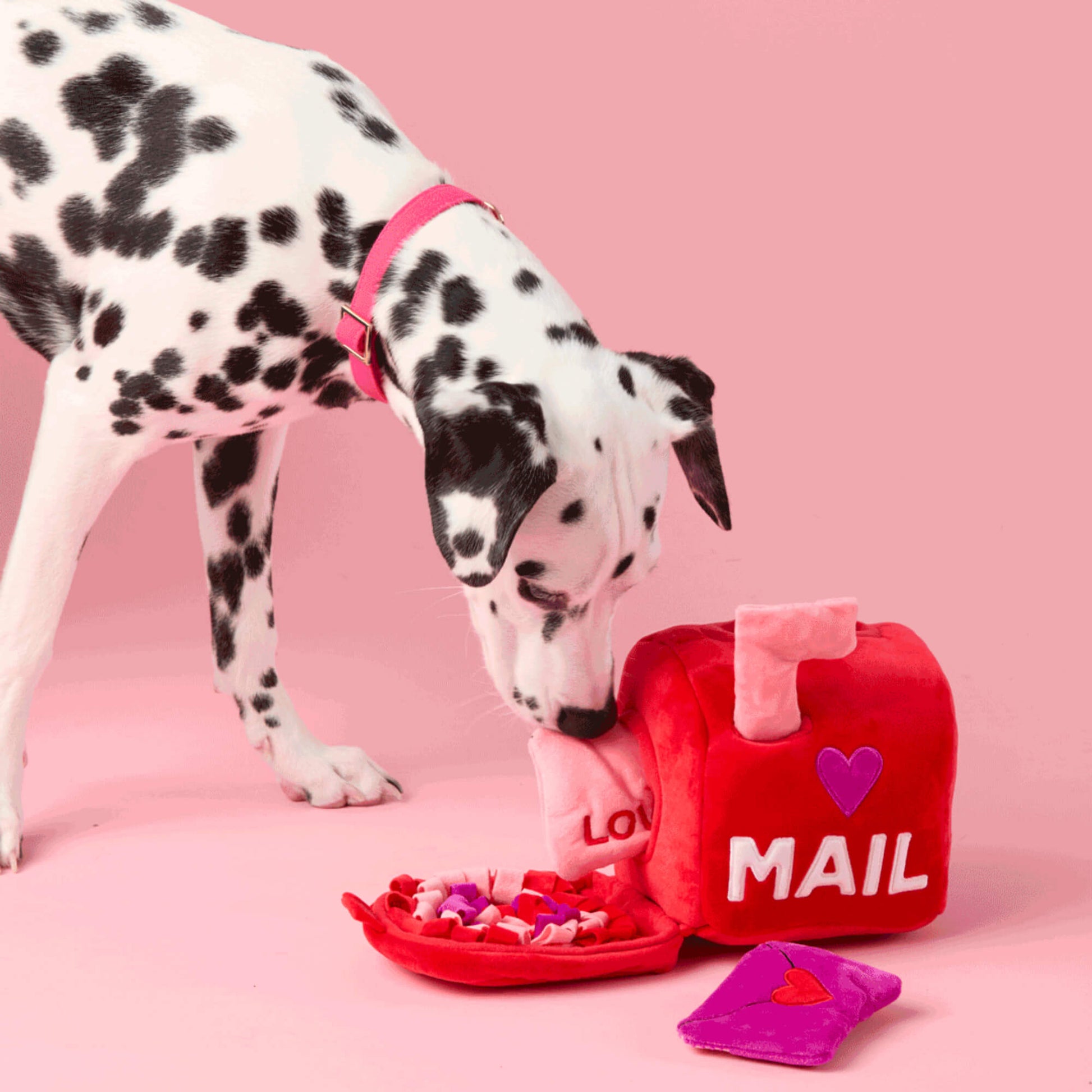 Love Letters Interactive Snuffle Dog Toy from The Foggy Dog