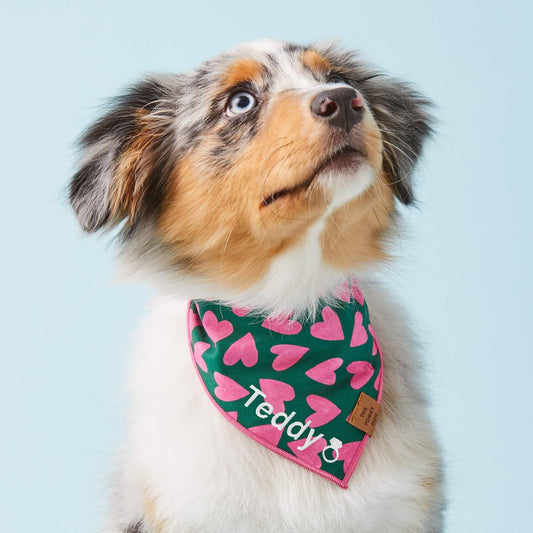 #Modeled by Luna (15lbs) in Small