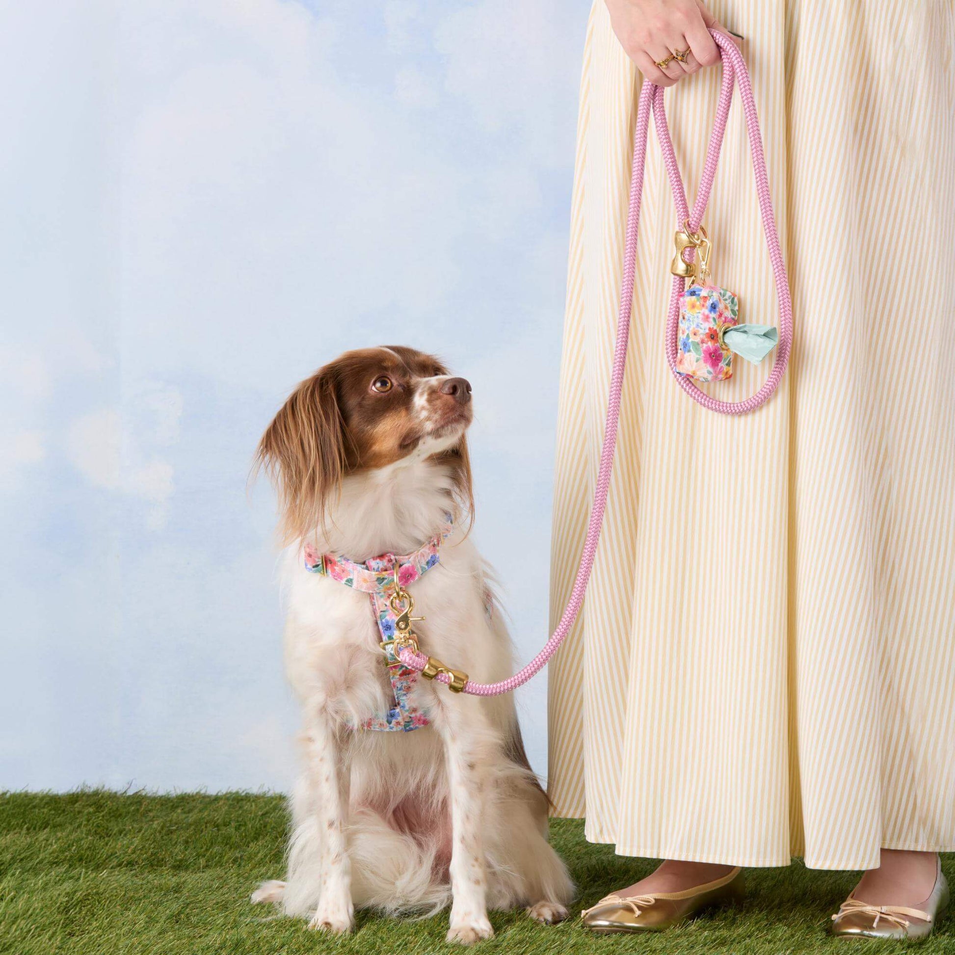 #Modeled by Ollie (20lbs) in a Medium harness and Standard leash