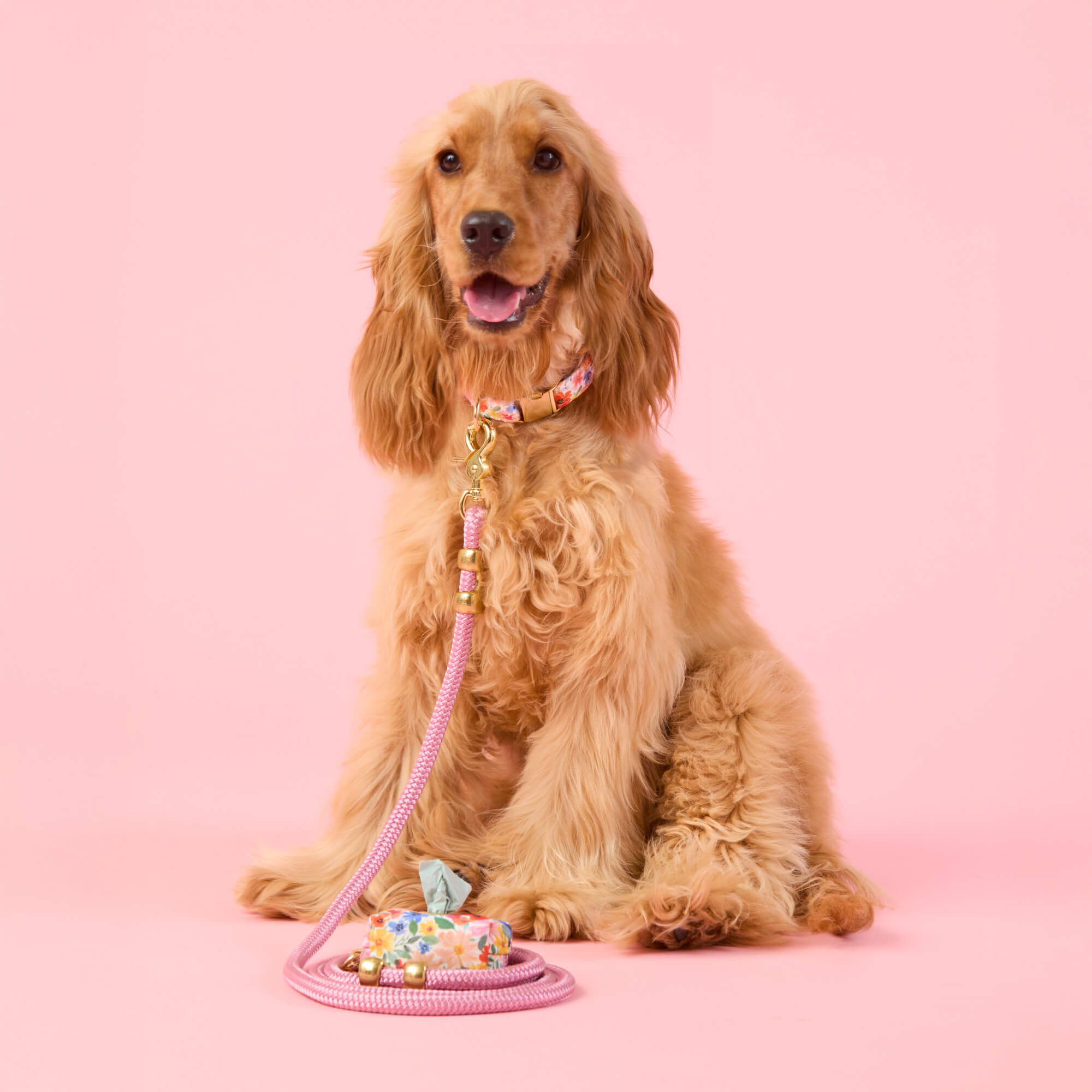 Margaux Waste Bag Holder – The Foggy Dog