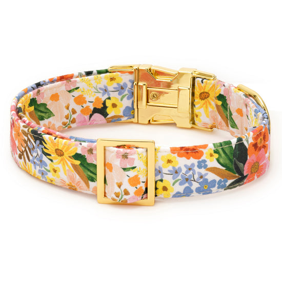 Rifle Paper Co. x TFD Marguerite Dog Collar