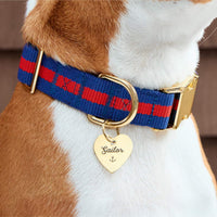 #Modeled by Ricky (30lbs) in a Large pet ID tag