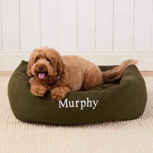 #Modeled by Poppy (20lbs) in Large