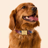#Modeled by Maple (45lbs) in Medium