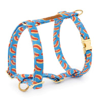 Hot Diggity Dog Harness from The Foggy Dog